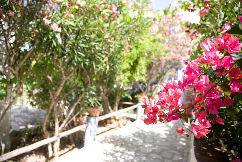 L'Oasi Villaggio Albergo Favignana Luaran gambar