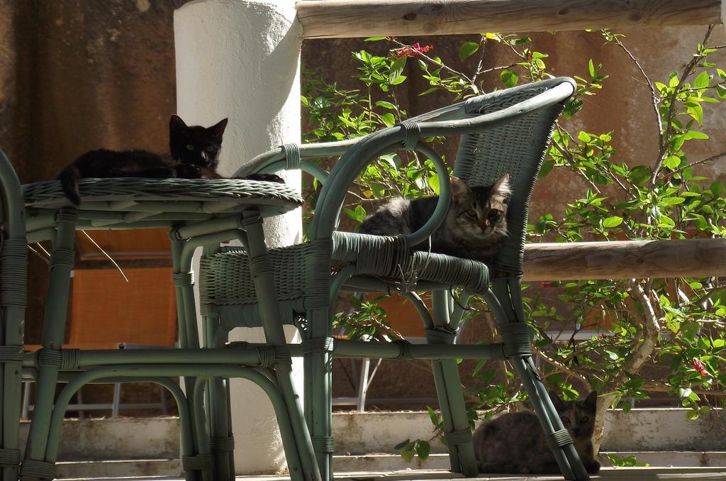 L'Oasi Villaggio Albergo Favignana Luaran gambar